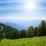 આજે આંતરરાષ્ટ્રિય વન દિવસ 3 KP.com National Forest day