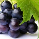 દ્રાક્ષ દરેક રીતે ઉપયોગી છે 2 kp.comgrapes