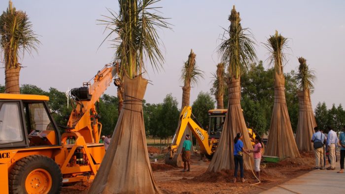 KP.com Heartfulness Institute Achieves Milestone of Relocating 1000 tree... e1525255447243