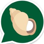 ગાયબ થઇ ગઇ બાબા રામદેવની કિંભો એપ 3 kp.com kimbo