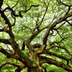 cc iStock 478639870 16x9