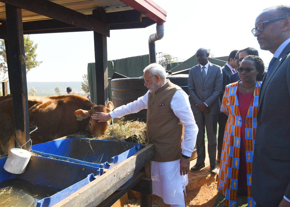 The Prime Minister, Shri Narendra Modi donates 200 cows under Girinka (one cow per poor family programme), at Rweru Model village, in Rwanda on July 24, 2018.
	The President of Rwanda, Mr. Paul Kagame is also seen.
