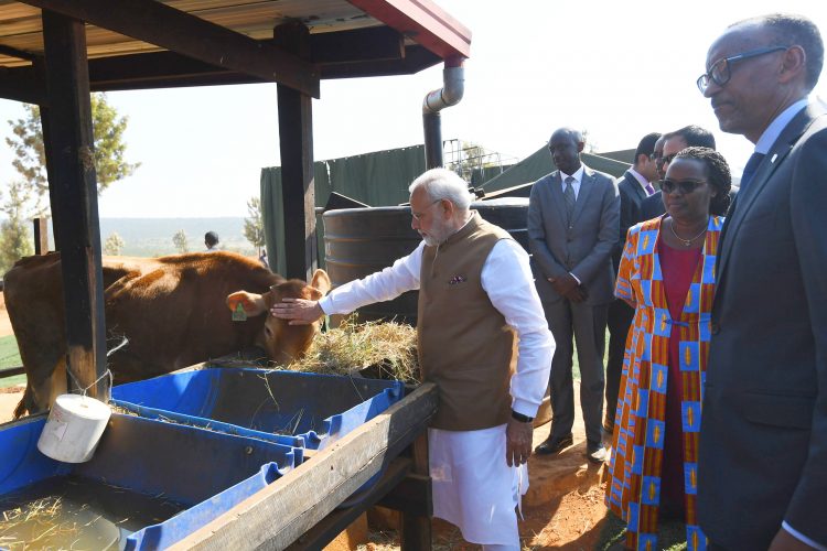 The Prime Minister, Shri Narendra Modi donates 200 cows under Girinka (one cow per poor family programme), at Rweru Model village, in Rwanda on July 24, 2018.
	The President of Rwanda, Mr. Paul Kagame is also seen.