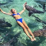 kp.comKatarina Zarutskie shark bite 01