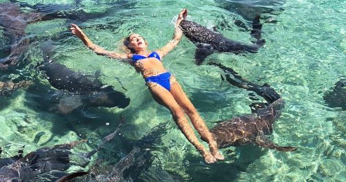 kp.comKatarina Zarutskie shark bite 01 e1531392989609