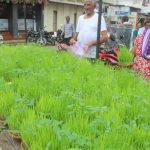 જયા-પાર્વતીના વ્રતની ૨૫મીથી શરૂઆત થશે 2 kp.comgauripooja