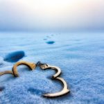 મહિલા બુટલેગર ફરાર થઇ જતાં ૪ પોલીસ કર્મી સસ્પેન્ડ 2 Handcuffs