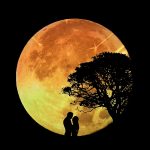 Lovers Pair Moon Moonlight Romance Love Together