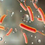 અમદાવાદમાં ઝાડા-ઉલ્ટીના ચાર દિનમાં ૧૬૨ કેસો થયા 2 kp.comCholera