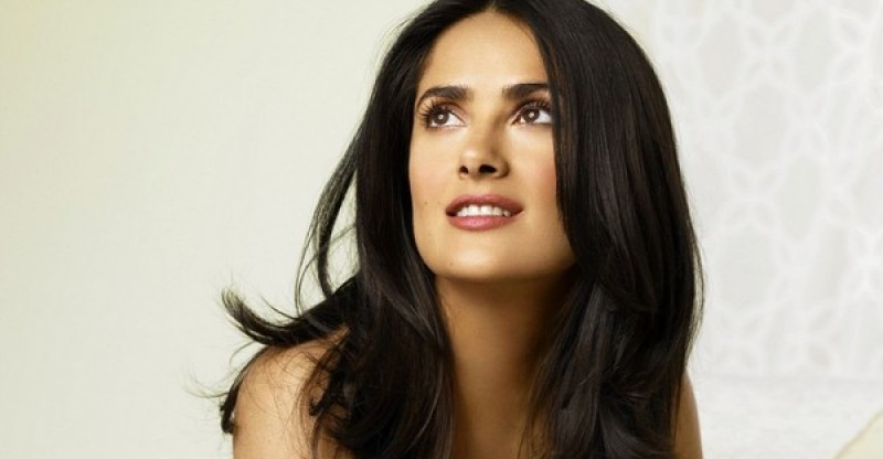 kp.comsalmahayek