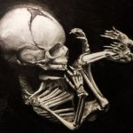 kp.comNewbornSkeleton3