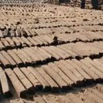 More than 300 Holi organizers to stop using wood