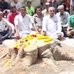 13 Tree cutting environmentalists sit and poke