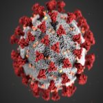 Corona Virus WHO