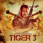 સલમાન ટાઈગર ૩ ડિસેમ્બરમાં રિલીઝ કરવા મક્કમ 2 India Entertainment Film Actor Salman Khan Tiger 3 Tiger Abhi Zinda hai