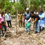 ગ્રીનમેન વિરલ દેસાઈએ સરથાણા નેચર પાર્કમાં 700 વૃક્ષો રોપીને પર્યાવરણ દિવસની ઉજવણી કરી 2 MKT 0235