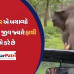 વાયરલ વીડિયોમાં, એક સફારી ડ્રાઈવર પ્રવાસીઓના જીવ બચાવે છે જ્યારે એક હાથી વાહનનો પીછો કરે છે 2 ANAND MAHINDRA ELEPHANT DRIVER KP