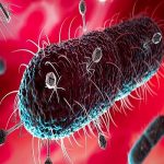 અમેરિકામાં ઝડપથી ફેલાઈ રહેલા સુપરબગે બેક્ટેરિયાએ સમગ્ર દુનિયાને ફરી એકવાર ચિંતામાં મૂકી 3 File 01 Page 02