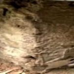 બેન્કના લૉકરમાં રાખેલા નોટોના બંડલ ખાઈ ગઈ ઉધઈ, ગ્રાહકે બેન્કને માથે લઇ લીધી 3 Page 08