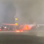 File 01 Page 03 01 1