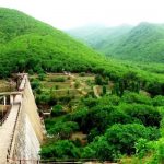 જૂનાગઢનો વિલિંગ્ડન ડેમ ઓવરફ્લો, ગિરનાર અને દાતાર પર્વત પર વરસાદી માહોલ 2 File 02 Page 06 1