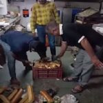 રાજકોટના મવડી બાયપાસ નજીક કેકની દુકાનમાંથી ૮૫ કિલો અખાદ્ય જથ્થો મળી આવ્યો 3 File 02 Page 04 1