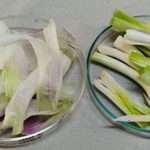 વિશ્વમાં સૌ પ્રથમ પાટણમાં લીલી ડુંગળીમાંથી પાણી શુદ્વીકરણનું સફળ સંશોધન 3 File 02 Page 04 3