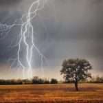 વિજળી પડતાં ઈડરના કાબસો ગઢામાં એક મહિલા અને મોડાસામાં ૧૬ પશુઓએ જીવ ગુમાવ્યા 3 Page 24