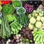 ધોરાજી પંથકમાં ખેડૂતોને પડ્યા પર પાટા જેવો ઘાટ સર્જાયો 3 farmers