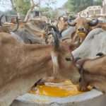 WhatsApp Image 2024 04 12 at 1.25.00 PM