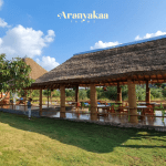 Aranyakaa Farms has seen a remarkable 75% rise in farmland value over a span of three years, surpassing the growth of Bangalore's real estate market. 3 Vrindavan Project by Aranyakaa Farms 2