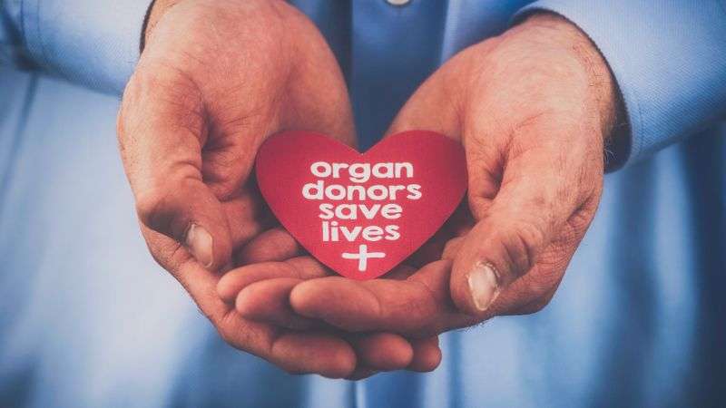 World Organ Donation Day: વર્ષ 2019ની સરખામણીમાં ગત વર્ષ 2023માં અંગદાતાઓની સંખ્યામાં 128% અને અંગોના દાનમાં 176% નો વધારો જોવા મળ્યો 1 World Organ Day 1
