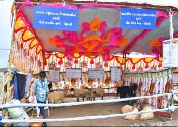 Gujarats biggest 'Tarnetar Fair' begins today, specially organized by the state government