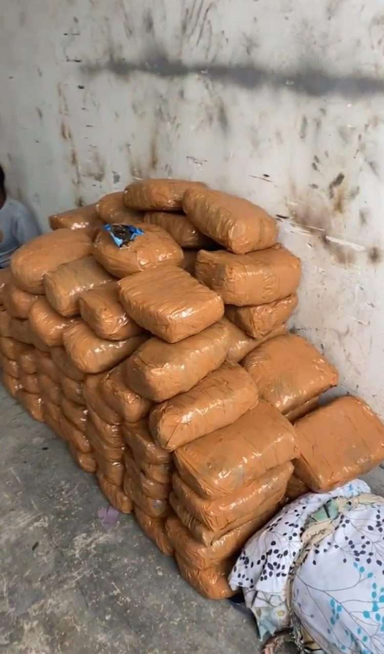 Ahmedabad: 3 arrested with more than 200 kg ganja and MD drugs from Vatwa