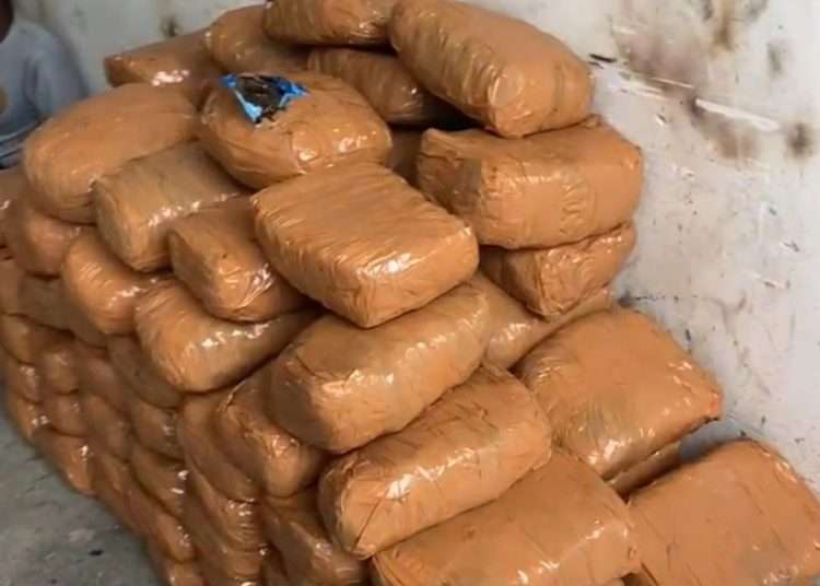 Ahmedabad: 3 arrested with more than 200 kg ganja and MD drugs from Vatwa