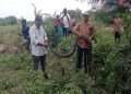 A 10 feet long python was rescued from Vadodara