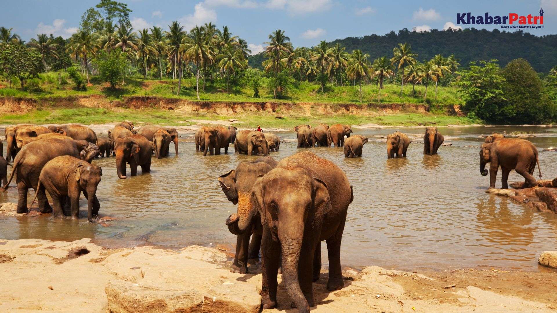 Srilanka 1