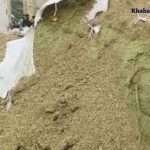 ક્યાંક તમારા ઘરમાં નકલી જીરું તો નથી ને? નકલી જીરુ અને વરિયાળી બનાવતી ફેક્ટરી ઝડપાઈ 2 jiru