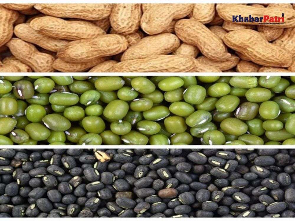 ખેડૂતો માટે મોટા સમાચાર, ખરીફ પાકોની ટેકાના ભાવે ખરીદીની નોંધણી તારીખ લંબાવાઈ 1 kharif pak