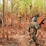 છત્તીસગઢના બીજપુરમાં એન્કાઉન્ટર, સુરક્ષા દળોને 8 નકસલવાદીઓને ઠાર કર્યા 3 6 1