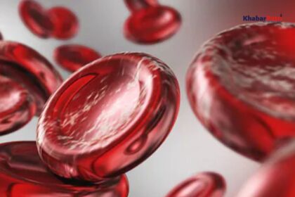 International Thalassemia Day