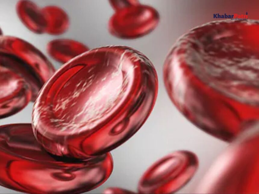 International Thalassemia Day