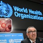 કોવિડ-19 ના પગલે WHO સભ્યોએ ઐતિહાસિક રોગચાળા કરાર અપનાવ્યો 2 WHO 1