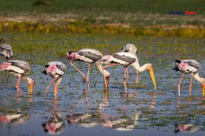 india pakistan war 3