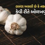 ક્યાંક તમે નકલી લસણ તો ઘરે નથી લઈ આવતા ને? આ રીતે અસલી અને નકલીની કરો ઓળખ 2 Garlic