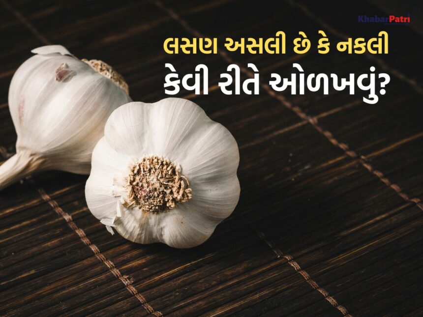 ક્યાંક તમે નકલી લસણ તો ઘરે નથી લઈ આવતા ને? આ રીતે અસલી અને નકલીની કરો ઓળખ 1 Garlic