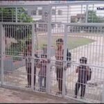 શનિવારે વહેલા છૂટી ગયા વિદ્યાર્થીઓ, છોકરા ઘરે ન આવતા શાળાએ પહોંચ્યા વાલીઓ, જઈને જોયું તો... 2 amreli