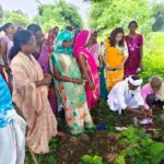 અદાણી ફાઉન્ડેશન દ્વારા ઉમરપાડા અને નેત્રંગમાં અદિવાસી દિવસ ઉજવણી થઈ 3 Adani Foundation celebrates Tribal Day in Umarpada and Netrang 2