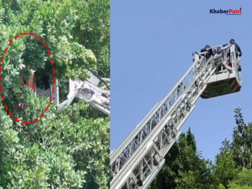 સુરતમાં માનસિક રીતે બિમાર મહિલા ૬૦ ફૂટ ઊંચા ઝાડ પર ચઢી જતા ફાયર બ્રિગેડ ધંધે લાગ્યું 1 surat