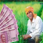 ખેડૂત ભાઈઓ માટે કામના સમાચાર, આ કામ ફટાફટ કરી લેજો નહીંતર ખાતામાં નહીં આવે 21મો હપ્તો 3 PMKSNY